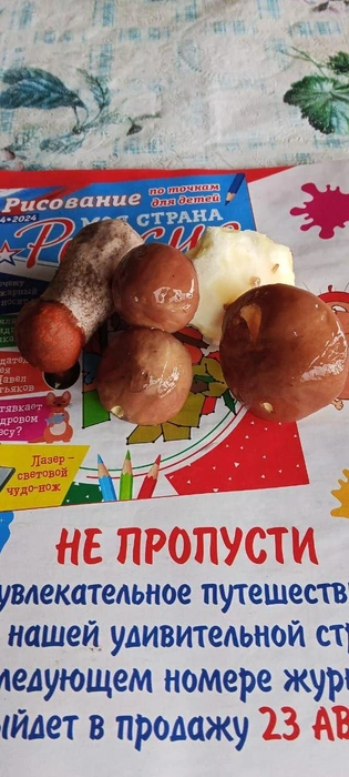 Такой нехитрый набор | Источник: Мария Морозова, «IrCity.ru | Новости Иркутска | Байкала | Ангарска | Братска» / T.me