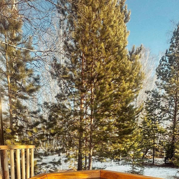 Источник: bart.house.tmn / Instagram (соцсеть запрещена в РФ)