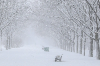 Алтайский край 14 января: аномальные морозы