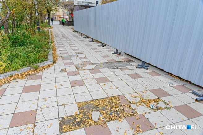 Источник: Олег Федоров / CHITA.RU