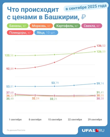 Источник: Серафима Пантыкина / Городские медиа