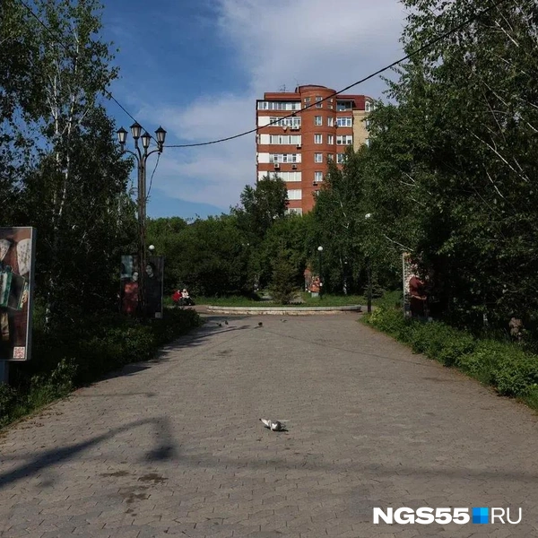Сквер настолько зарос, что трава пробивается даже между плитками | Источник: Евгений Софийчук / NGS55.RU