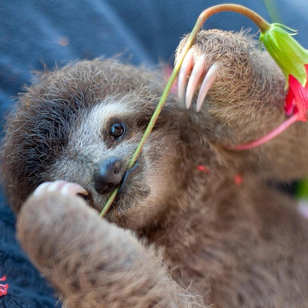 Источник: SAM TRULL / CATERS NEWS via Legion Media