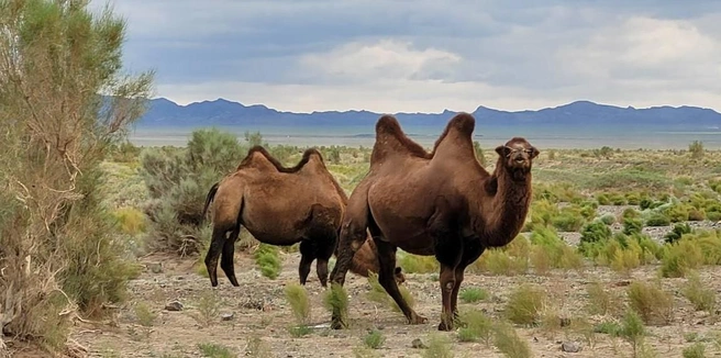 Эти места обладают головокружительной природной красотой | Источник: Алексей Котельников