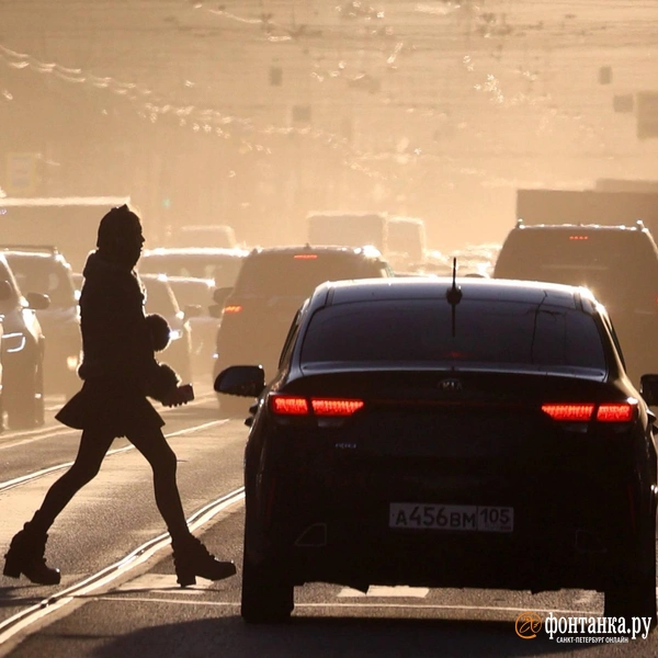 Источник: Сергей Михайличенко / FONTANKA.RU