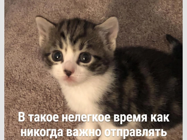 Давайте делать это чаще! | Источник: Городские медиа