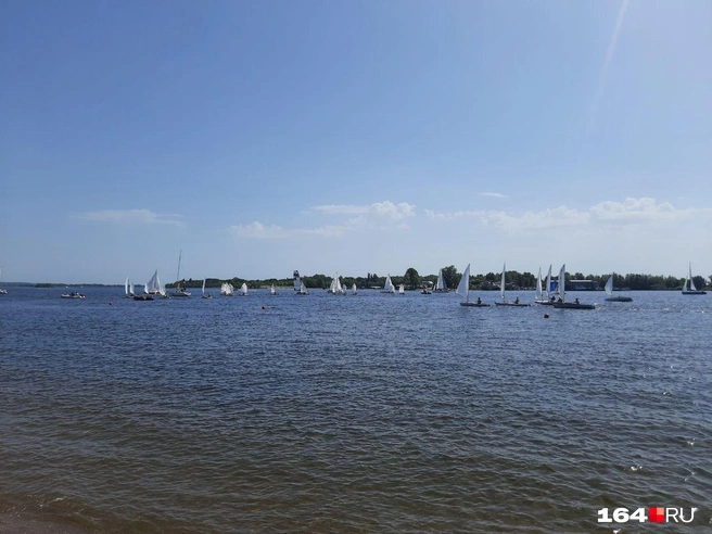 Вид на яхты просто шикарный | Источник: Сергей Гендин / 164.RU