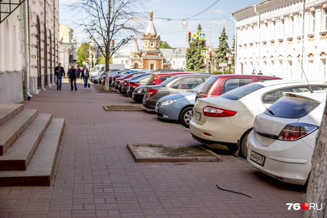 Особенно полезны для города деревья летом, когда асфальт и стены зданий прогреваются под знойными лучами солнца | Источник: Александра Савельева