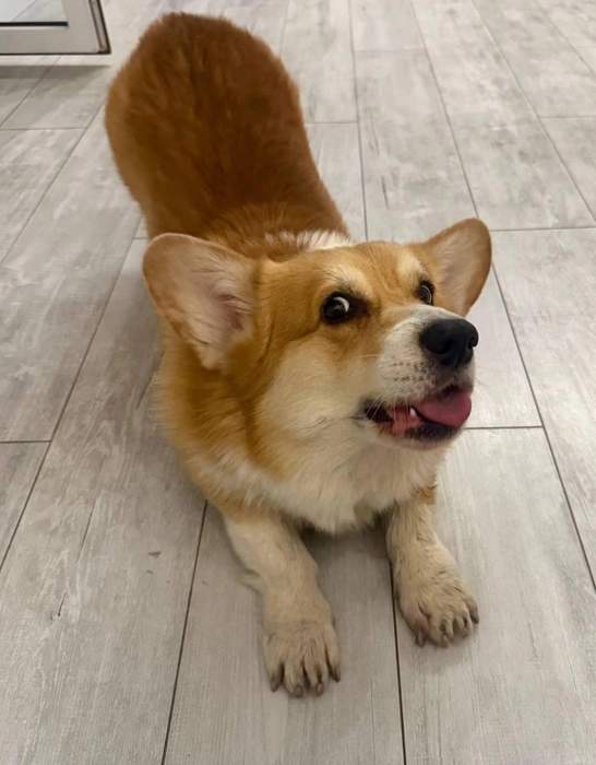 Безу-у-у-умно хорошего дня! | Источник: читатель 63.RU