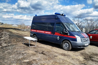 В Зауралье возбудили дело из-за нападения собак на ребенка