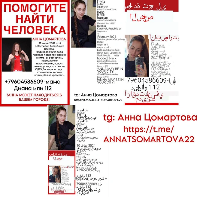 Ориентировки с Анной волонтеры расклеили по всему миру на разных языках | Источник: Диана Цомартова