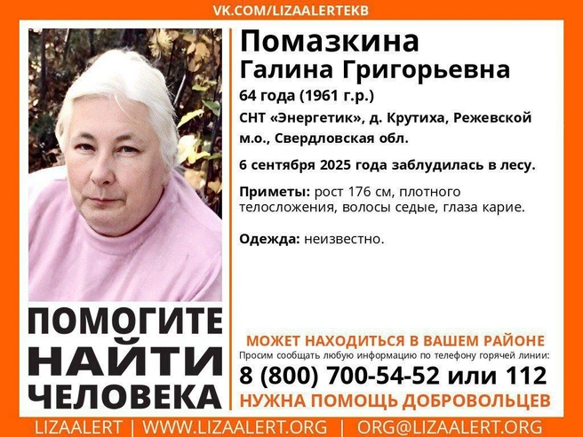 Источник: предоставлено отрядом «ЛизаАлерт»