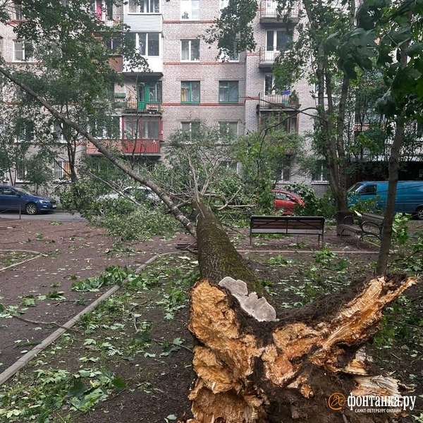 Источник: читатель «Фонтанки»