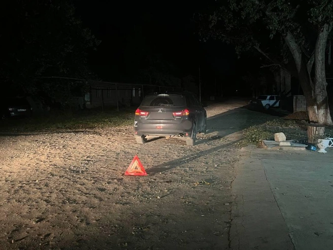 Женщина насмерть сбила ребенка в Минераловодском округе  | Источник: Госавтоинспекция Ставропольского края