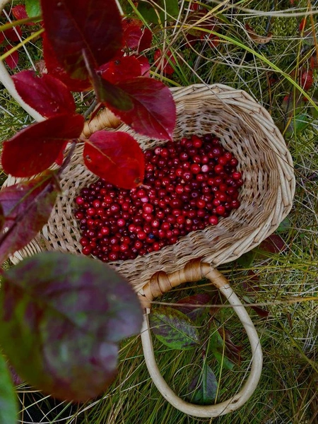 Источник: Социальные сети 