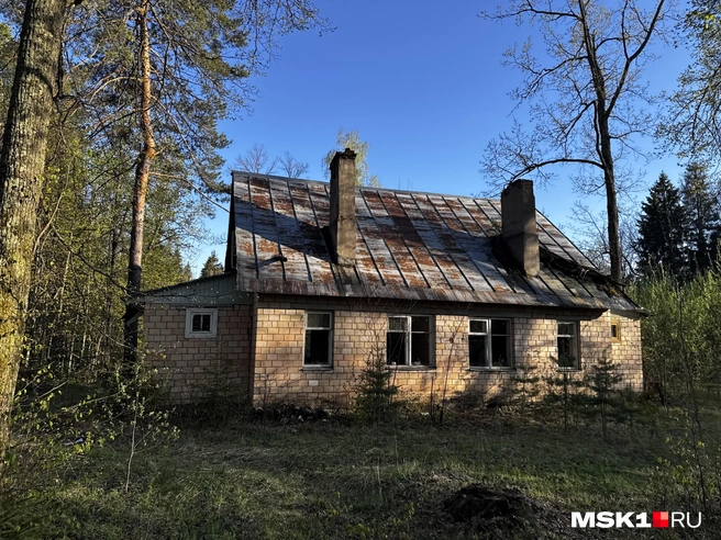 Источник: Алина Мельникова / MSK1.RU