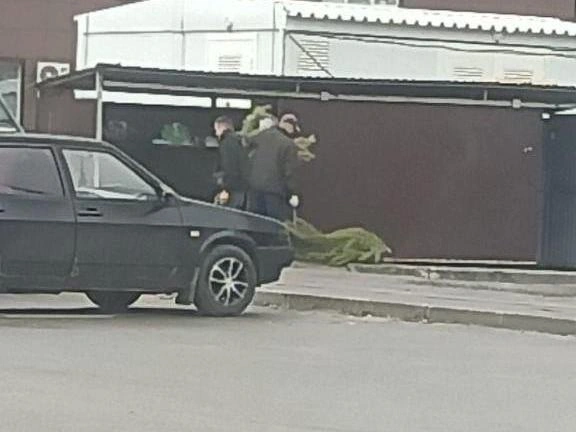 Новогоднее дерево было аккуратно распилено и помещено в контейнер для твердых коммунальных отходов. | Источник: читатели V1.RU