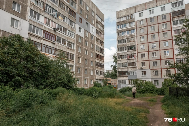 Зелень словно пожирает эти дома | Источник: Александр Куренной / 76.RU