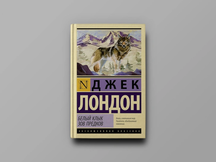 Лучший друг человека: 10 увлекательных книг о собаках