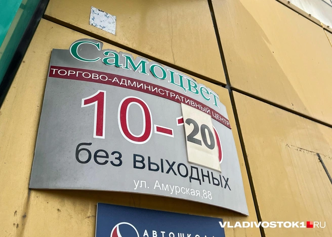 Источник: Елена Буйвол / VLADIVOSTOK1.RU