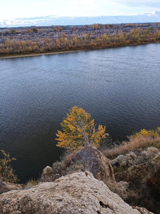 Источник: читатели V1.RU