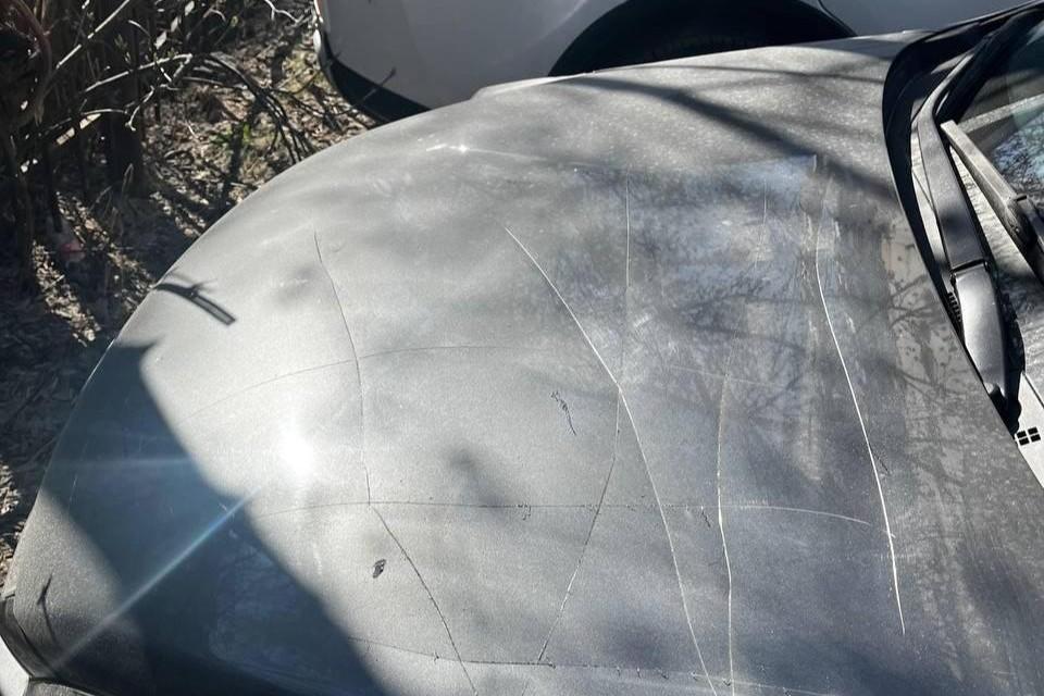 � ������������� ���� � ������ ������������ ������ �� �������� � ��������� ������