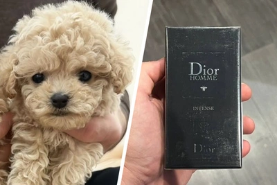 Москвичи продают новогодние подарки: от украшений до животных