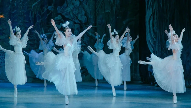 Билеты стоят меньше тысячи рублей | Источник: Воронежский государственный театр оперы и балета / theatre-vrn.ru