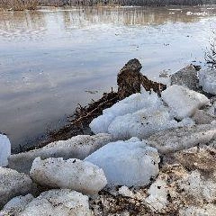 Источник: www.city-n.ru