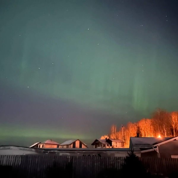 Источник:  читатель «Фонтанки» Александр