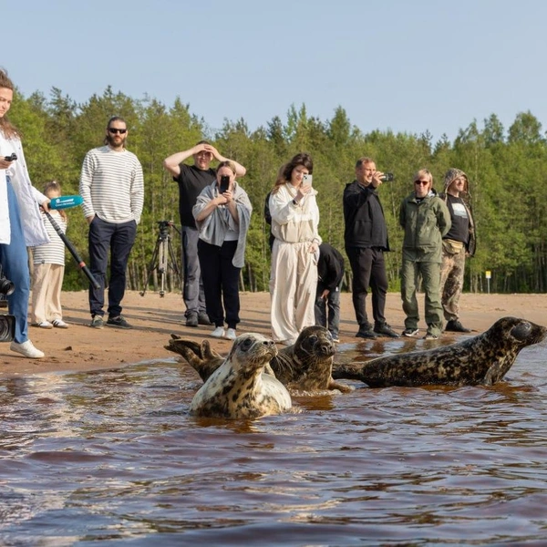 Источник: ГУП «Водоканал Санкт-Петербурга»