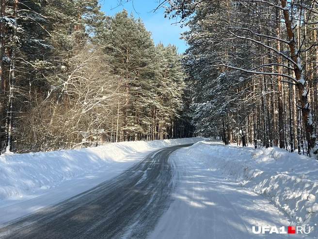 Дорога на Белоус | Источник: Андрей Бирюков / UFA1.RU