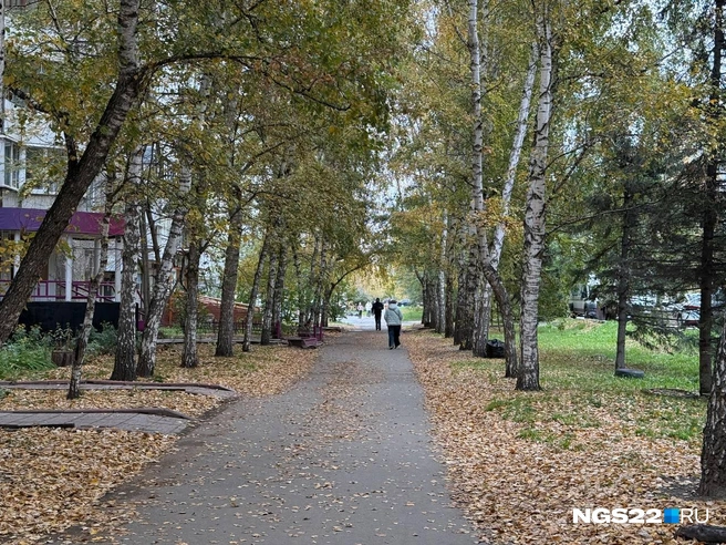 Осень уже успела внести свои коррективы | Источник: Полина Шевчукова / NGS22.RU