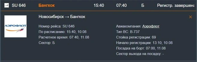 Рейс перенесли на 11 августа | Источник: Tolmachevo.ru/