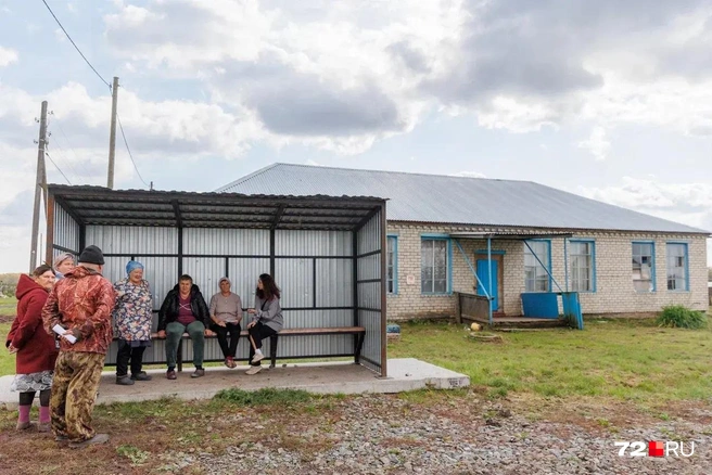 Жители рассказали, что не всем положена компенсация за мертвых свиней. Некоторым из селян грозят штрафы | Источник: Ирина Шарова / 72.RU