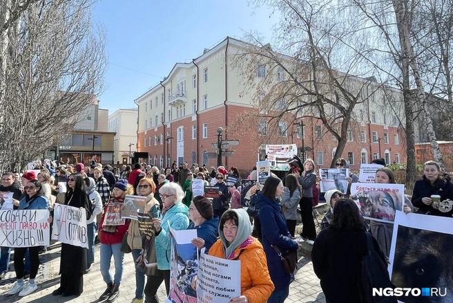 Томичи показывали плакаты прохожим людям | Источник: Варвара Фролова / NGS70.RU