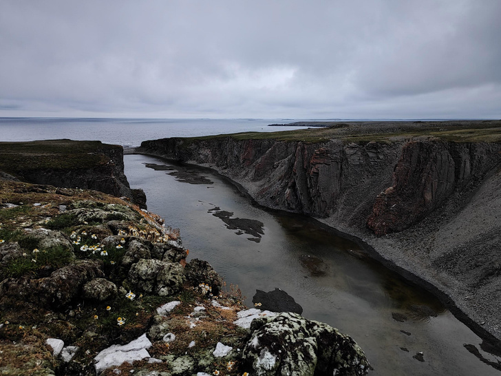 Другое море: летний отпуск на Новой Земле