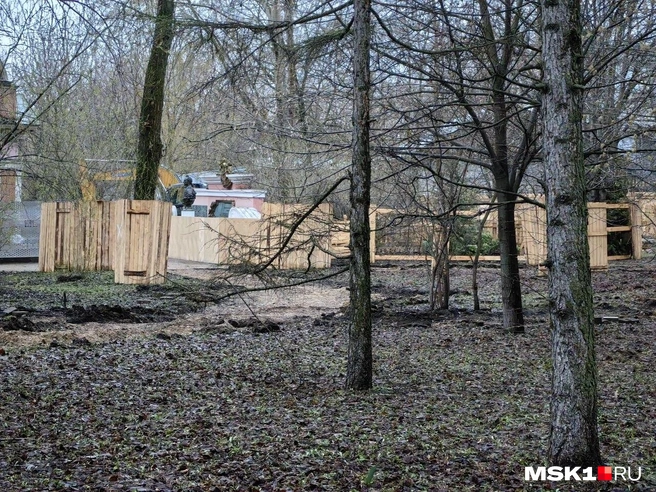 Деревья защищают коробами | Источник: Дмитрий Бондарев / MSK1.RU