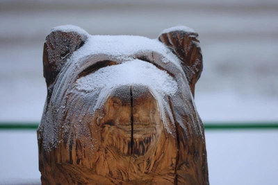 Forecasters warn of minus 42 cold in Transbaikal Krai