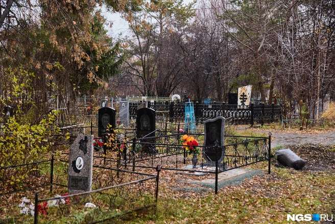 На Центральном кладбище медведь был замечен в сентябре  | Источник: Александр Ощепков / NGS.RU