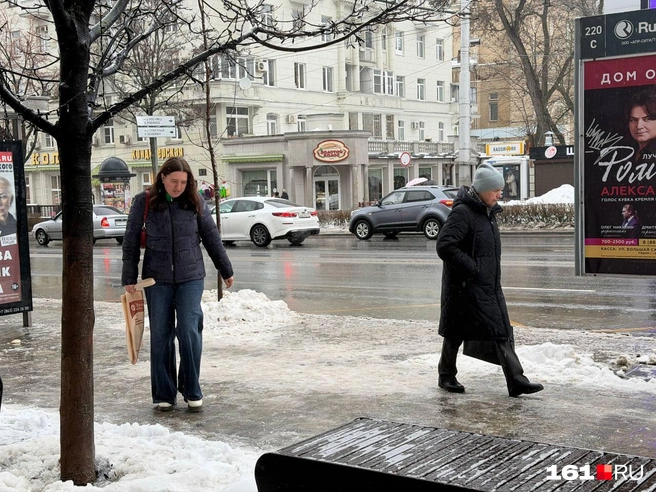 Ходите осторожно, хоть это и сложная задача | Источник: Евгений Вдовин / 161.RU