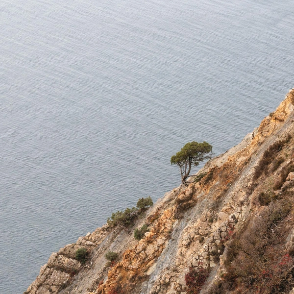 Источник: Андрей Белавин