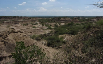 Ученые уточнили возраст древнейших окаменелостей Homo sapiens