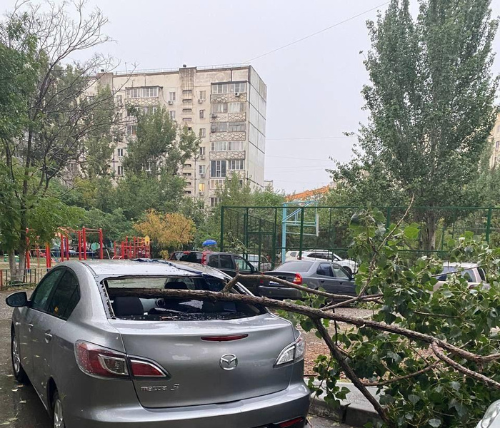 Полыхающие дома, поваленные деревья, оборванные провода: в Астрахани бушуют ураганный ветер и гроза