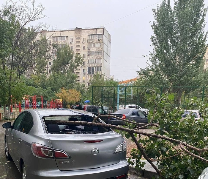 Полыхающие дома, поваленные деревья, оборванные провода: в Астрахани бушуют ураганный ветер и гроза