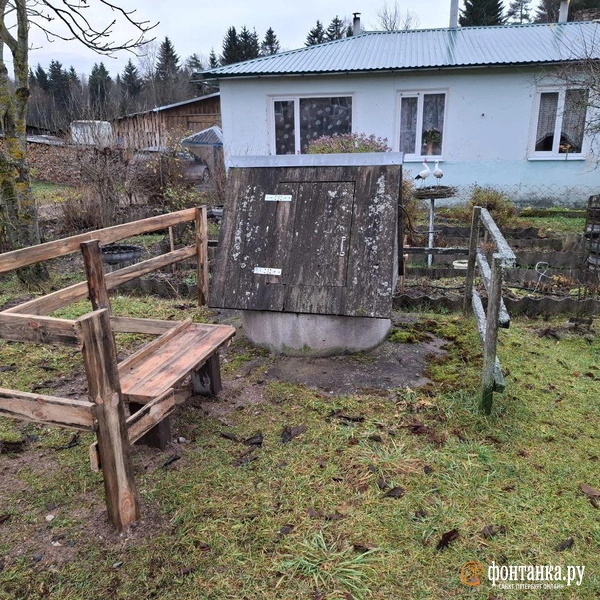 Источник: Ирина Багликова / «Фонтанка.ру»