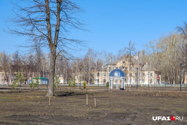 Беседка в центре парка, а вокруг пустота | Источник: Булат Салихов