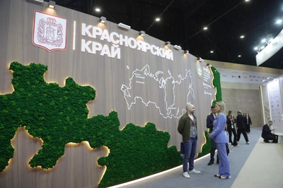 Стенд Красноярского края на ПМЭФ-2026: ИИ, сеянцы и арт-деревья