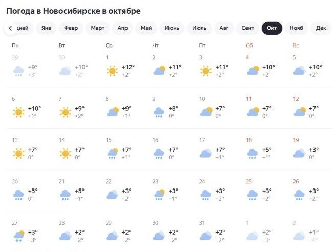 Сервис составляет прогноз по статистике за 10 лет | Источник: yandex.ru/pogoda