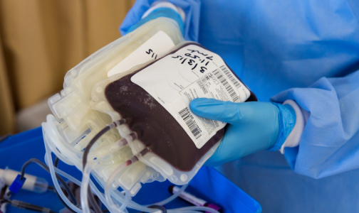 Петербургские больницы могут остаться без крови: доноры самоизолировались